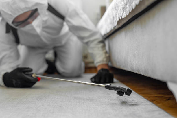 Professional Bed Bug Control technician working in Kings County County, CA